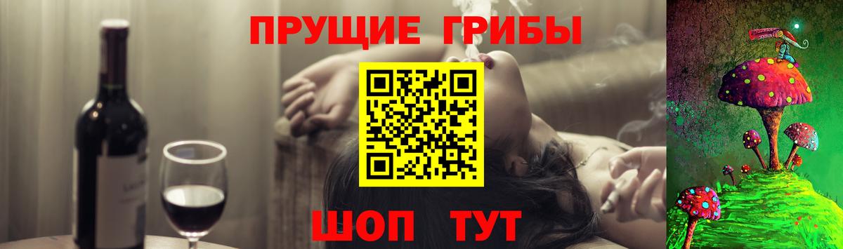 Галлюциногенные грибы Каспийск